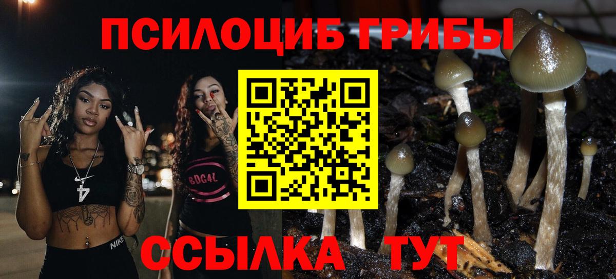 Галлюциногенные грибы ЛСД  Вход с VPN  Волжск  Галлюциногенные грибы мицелий 